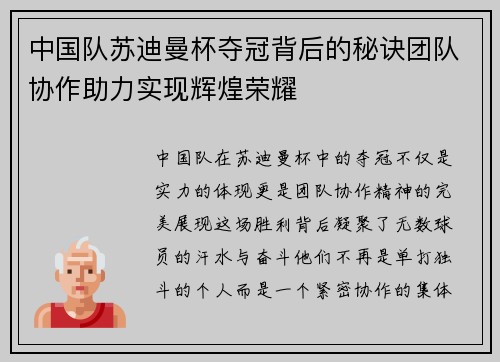 中国队苏迪曼杯夺冠背后的秘诀团队协作助力实现辉煌荣耀